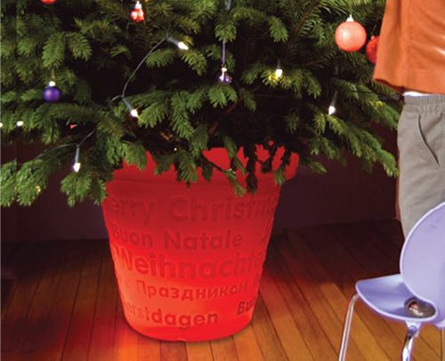 Pinos en macetas, la mejor opción ecológica para vivir tu navidad.