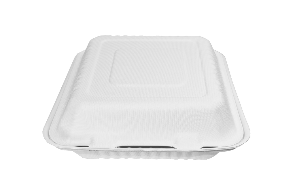 Almeja rectangular lisa