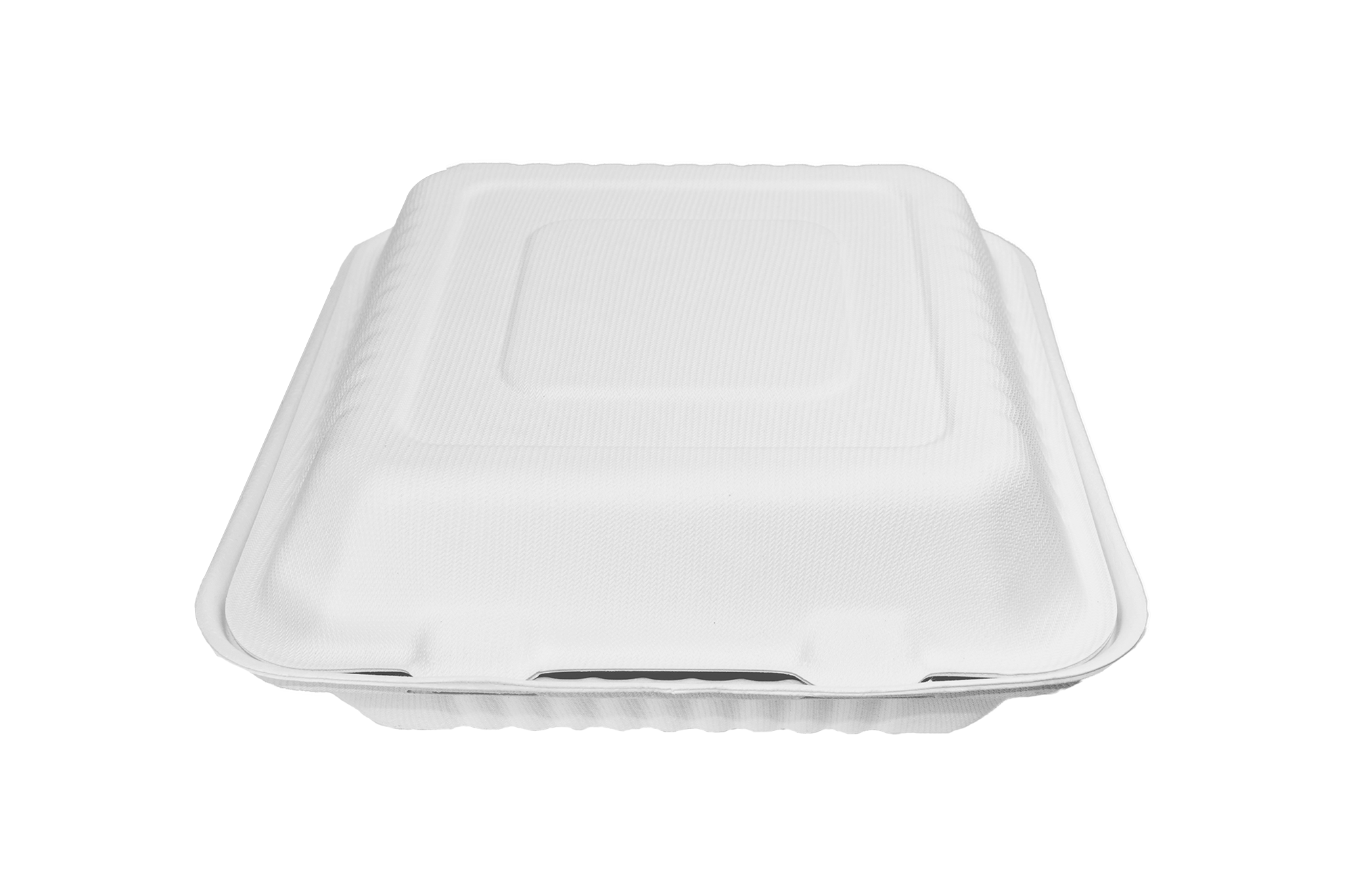 Almeja rectangular lisa