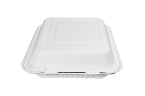 Almeja rectangular lisa