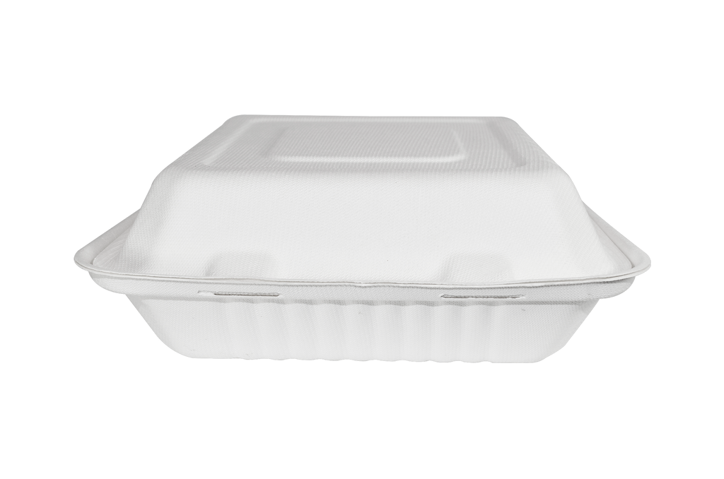 Almeja rectangular lisa