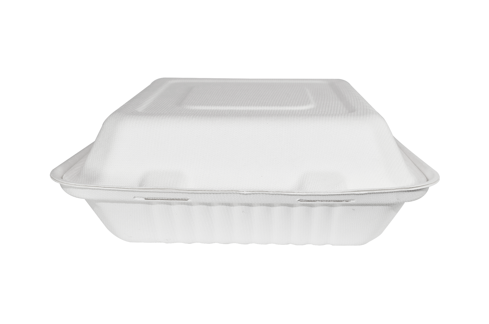 Almeja rectangular lisa