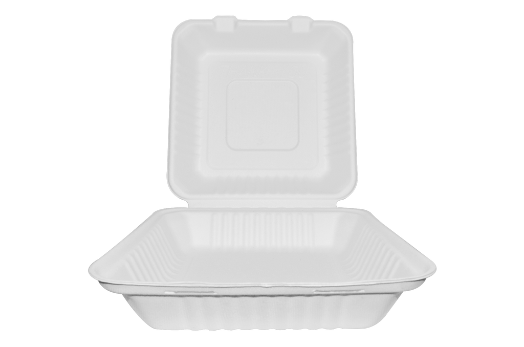 Almeja rectangular lisa