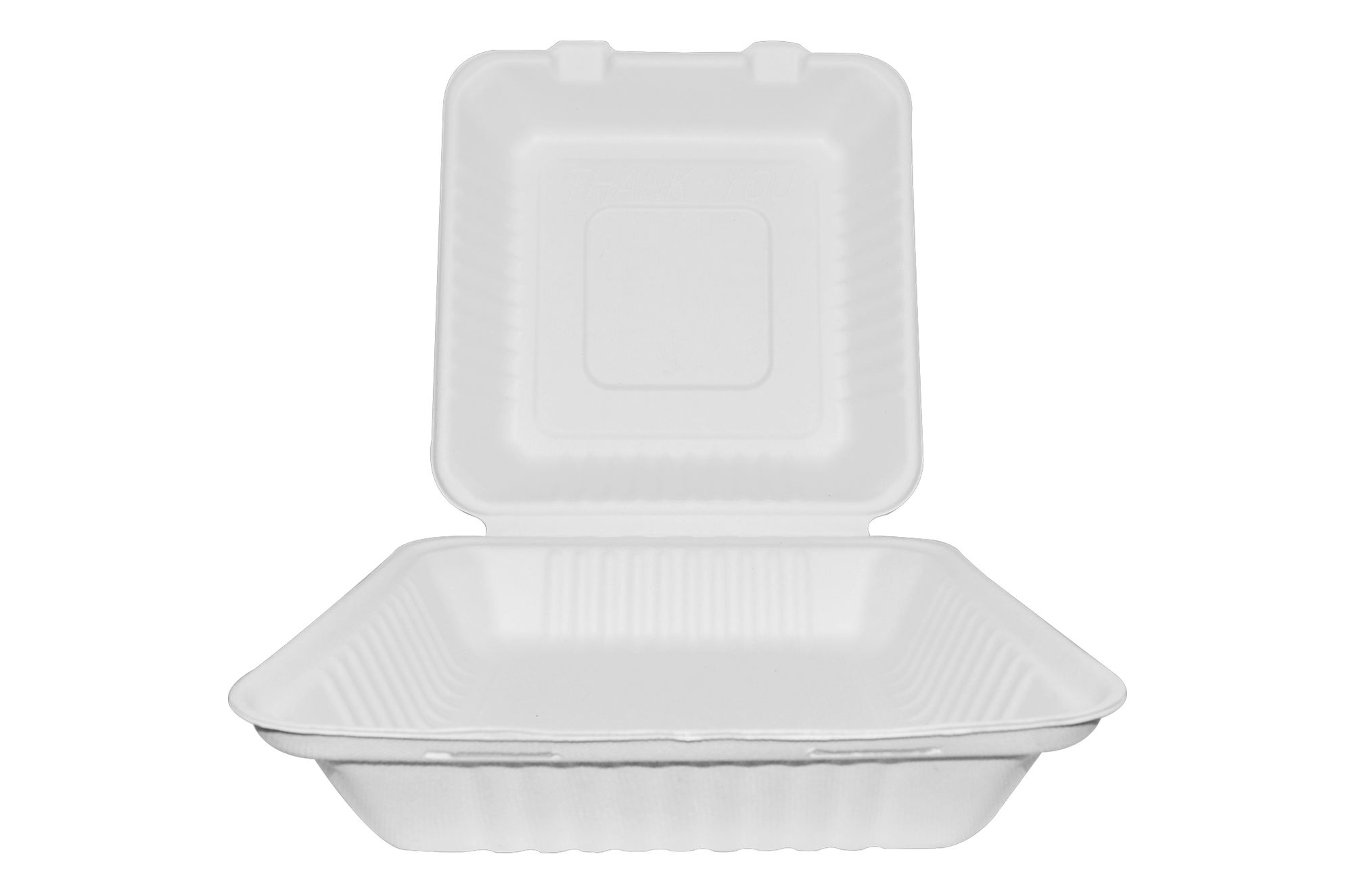 Almeja rectangular lisa