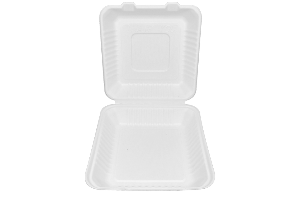 Almeja rectangular lisa