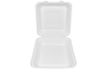 Almeja rectangular lisa
