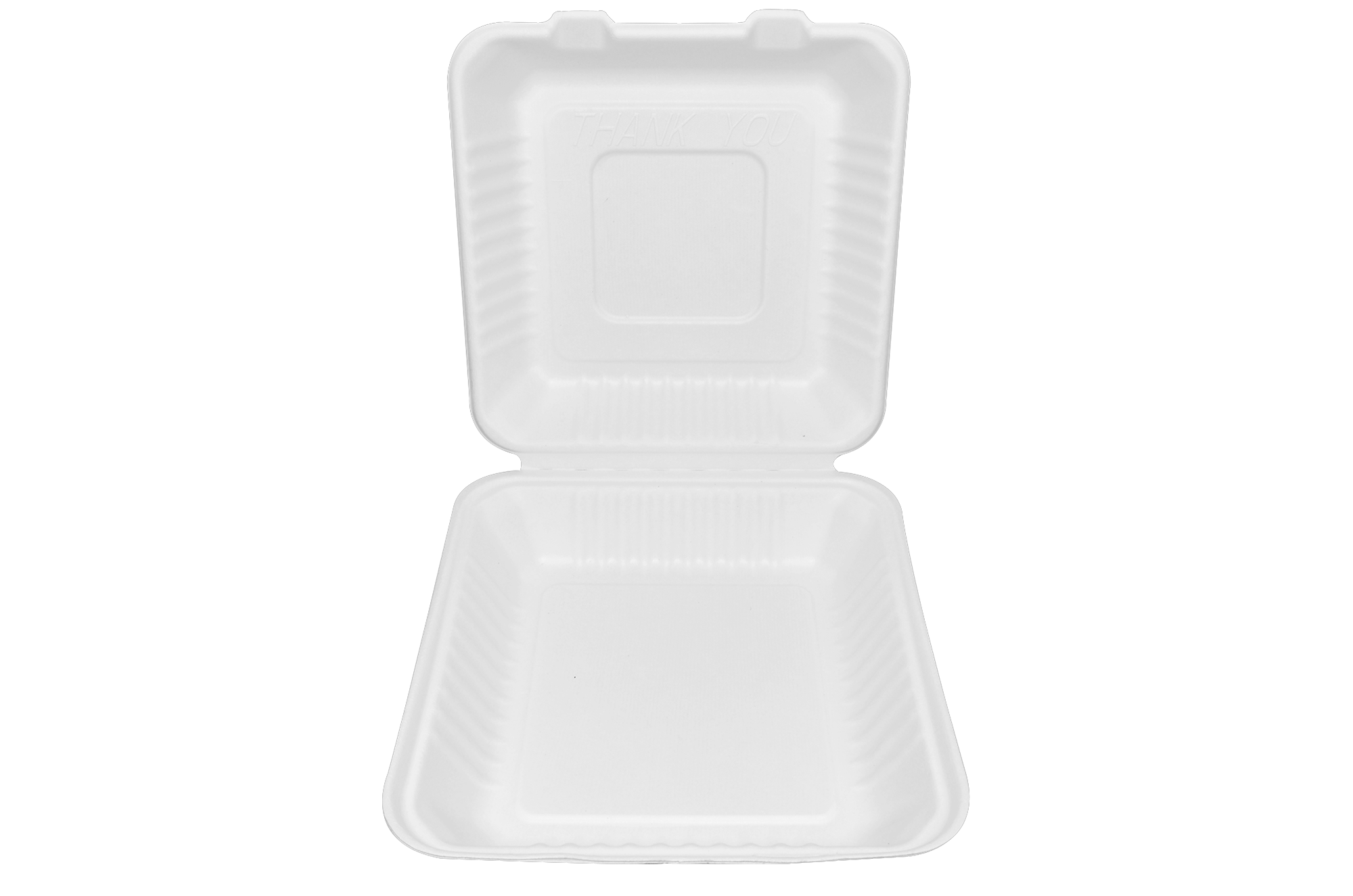 Almeja rectangular lisa