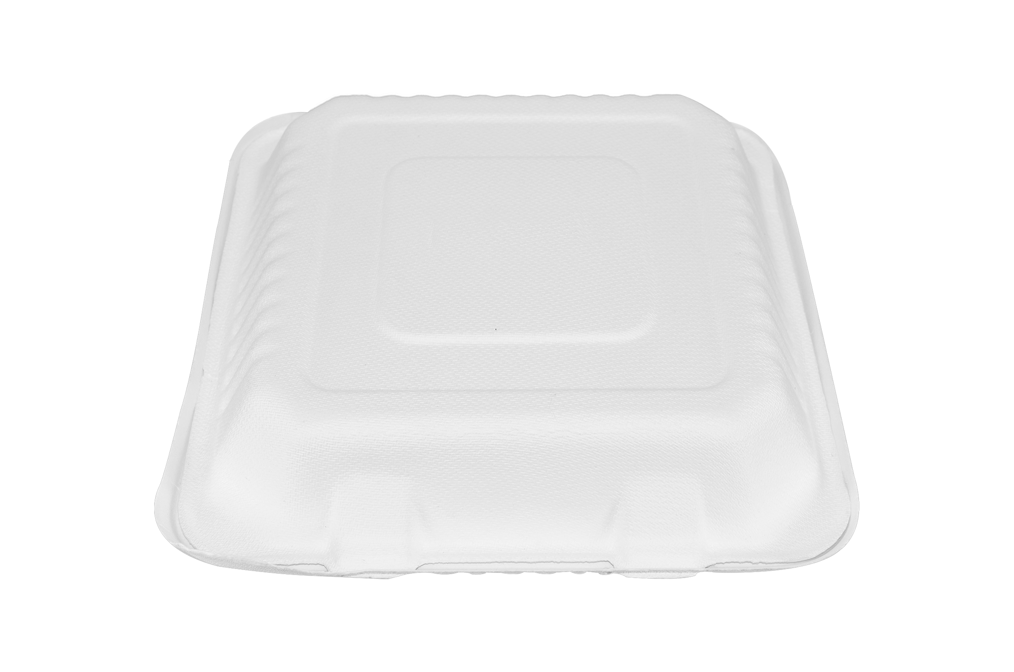 Almeja de 3 divisiones