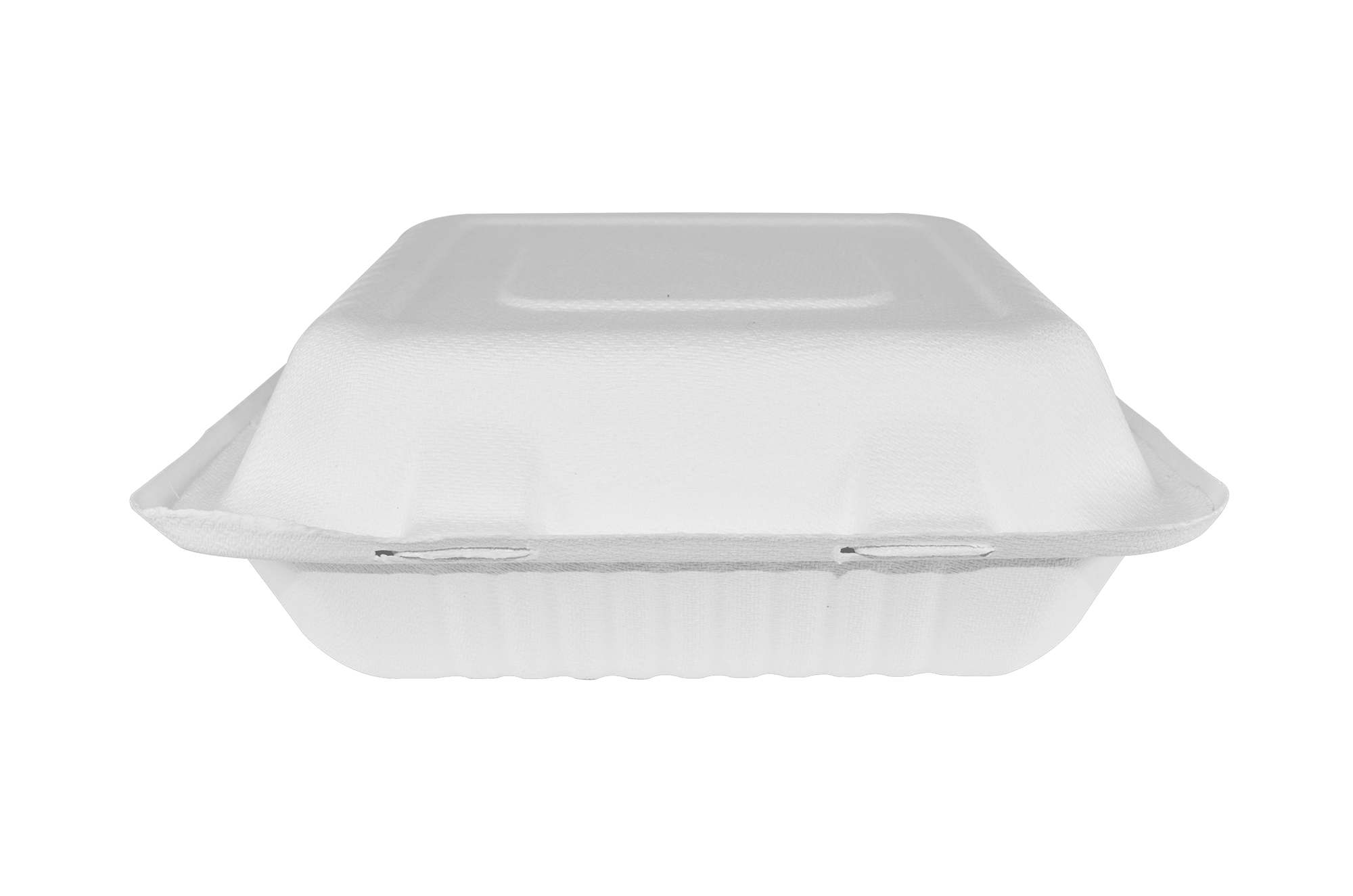 Almeja de 3 divisiones