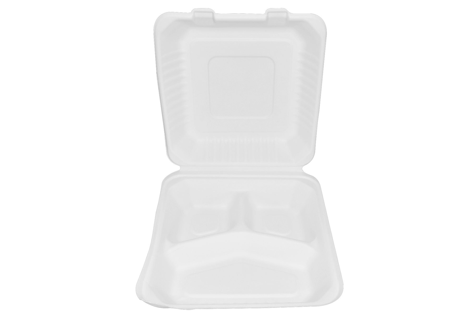 Almeja de 3 divisiones